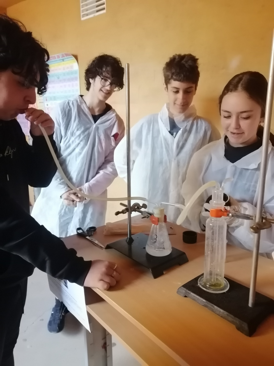 IMG_20240411_102505 IMG_20240411_102505