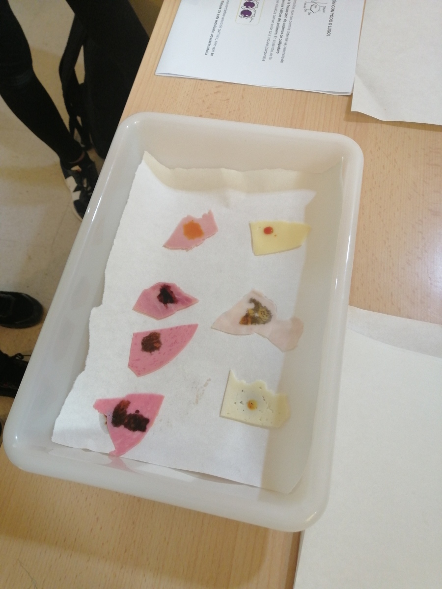 IMG_20240409_094507-1 IMG_20240409_094507-1