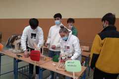 IMG-20220305-WA0043