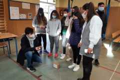 IMG-20220305-WA0216