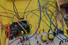 IMG-20220305-WA0272