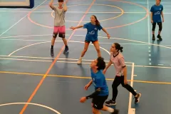 IMG_20240227_185732_999 IMG_20240227_185732_999