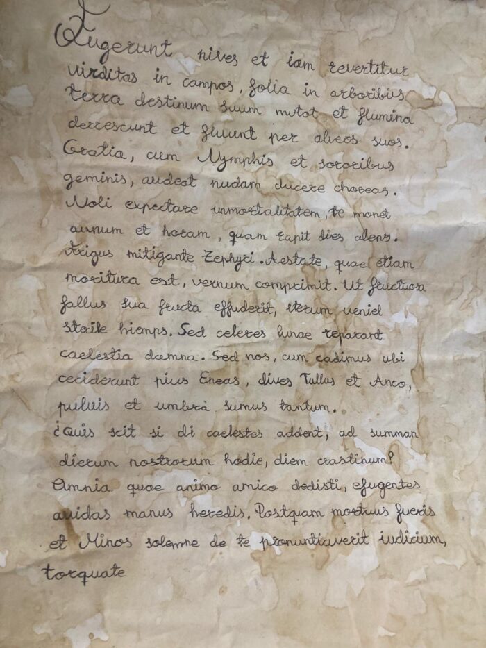 Imagen de WhatsApp 2024-06-10 a las 11.49.01_d1d83629