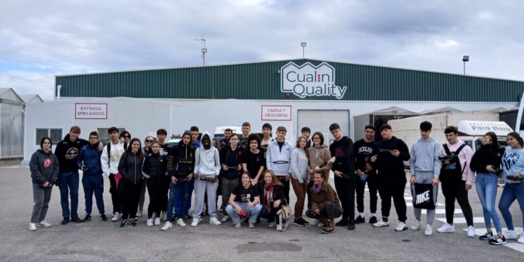 WhatsApp Image 2024-12-16 at 13.17.32