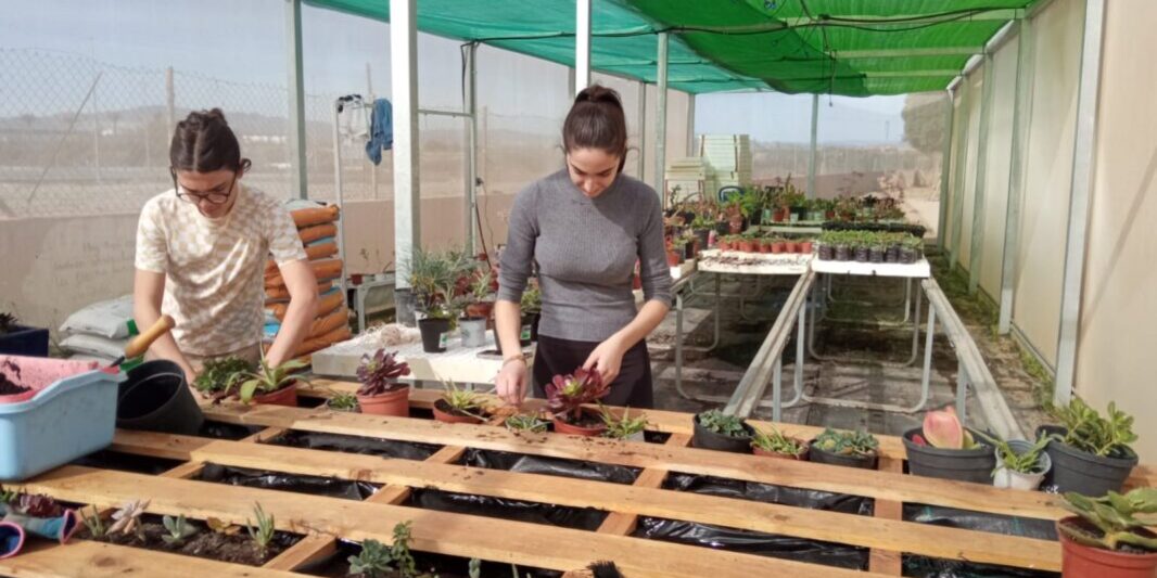 WhatsApp-Image-2025-02-15-at-20.02.54