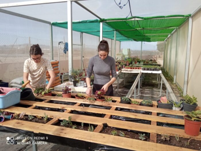 WhatsApp-Image-2025-02-15-at-20.02.54