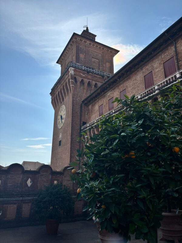 WhatsApp-Image-2025-04-11-at-17.54.58-5